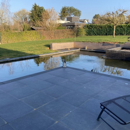 Zwemvijver met vissen en planten